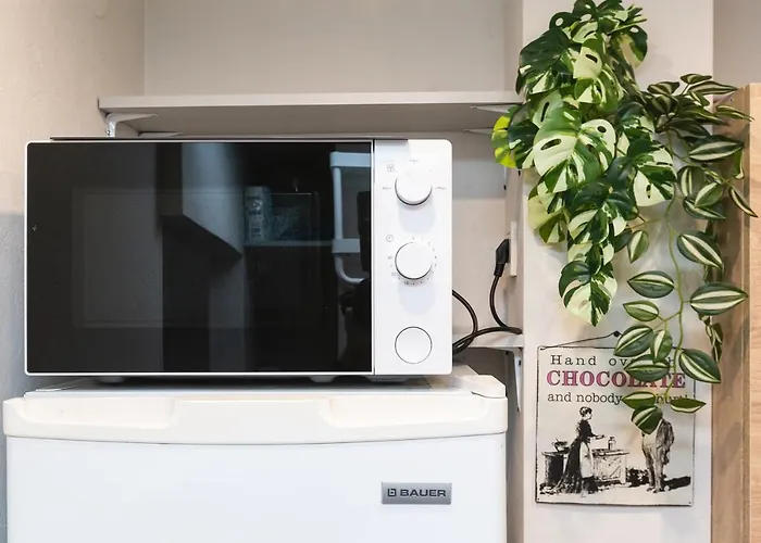 Prusu 17a Apartment *